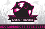 LICK AND A PROMISE KENNEL
